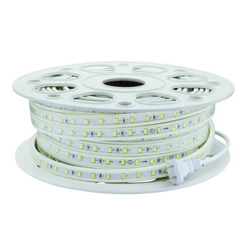 [68-563060225CW-2] DIRECT-SNAKE IP65 277V 25M LUZ FRIA