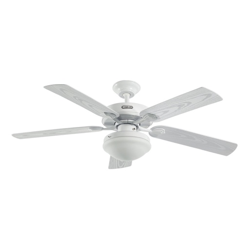 [66401] HURACAN C/ LUZ